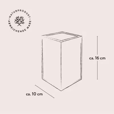 Kochlöffelhalter aus Olivenholz | Eckige Form | Handgefertigt & langlebig